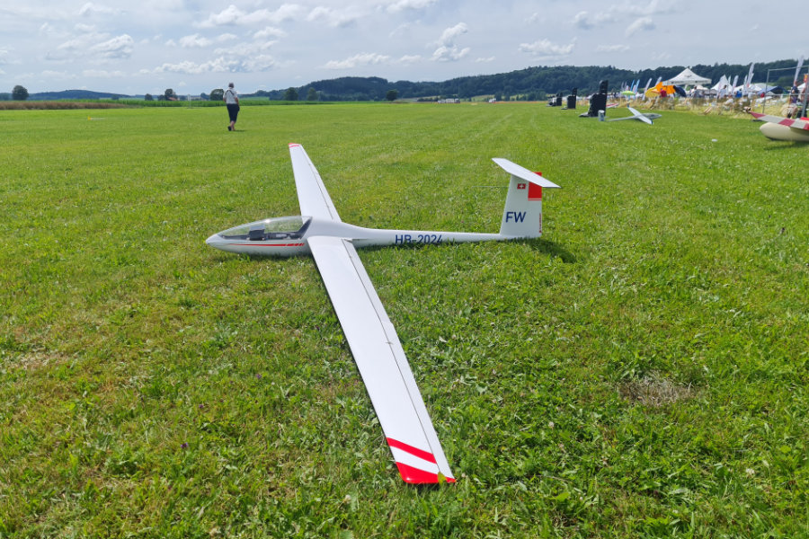 Kestrel